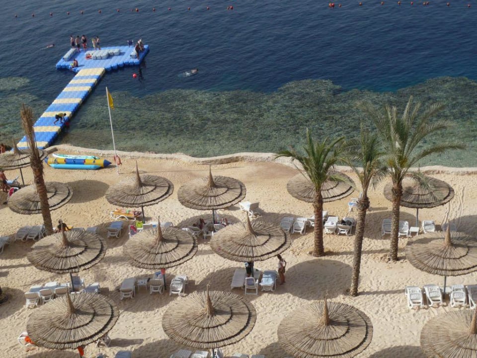 Hausriff mit Steg Reef Oasis Blue Bay Resort