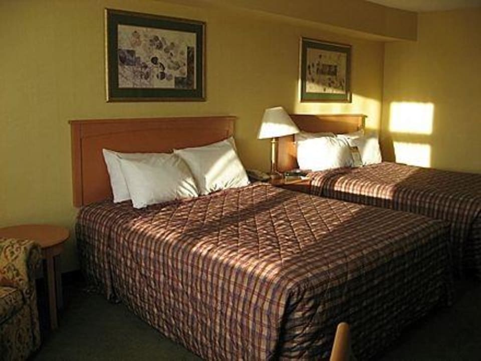 Zimmer Days Inn Hotel & Suites