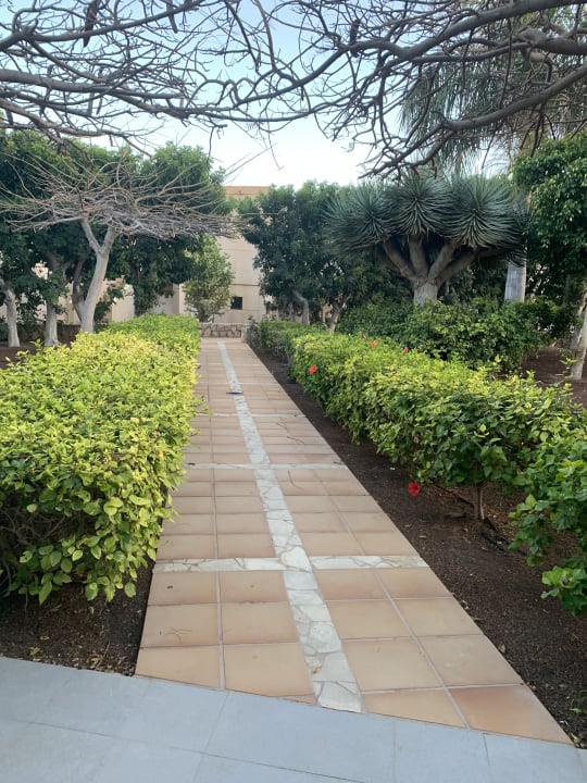 Gastro SBH Hotel Taro Beach