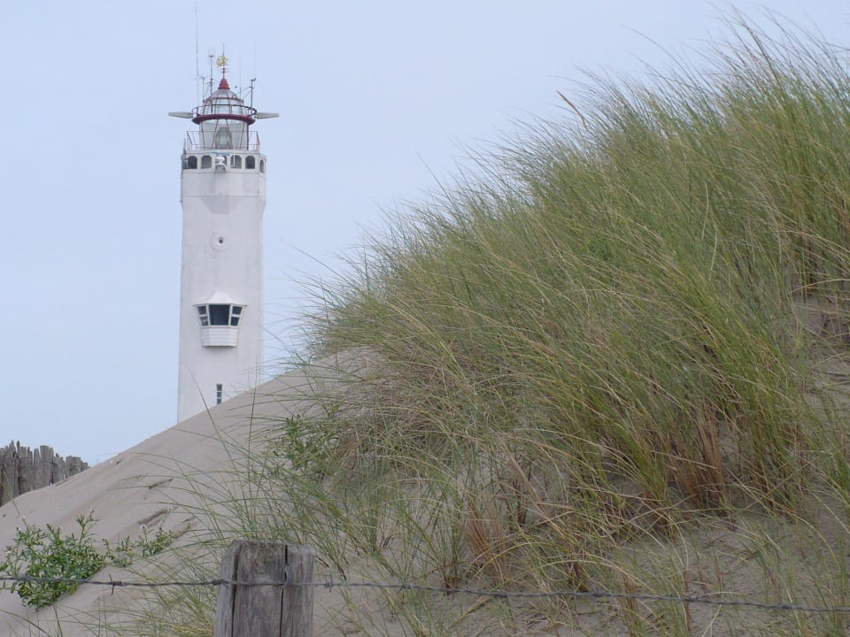 Düne mit Leuchtturm Pension Maaike