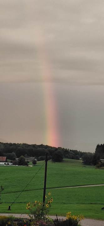 Ausblick Lohner Hof