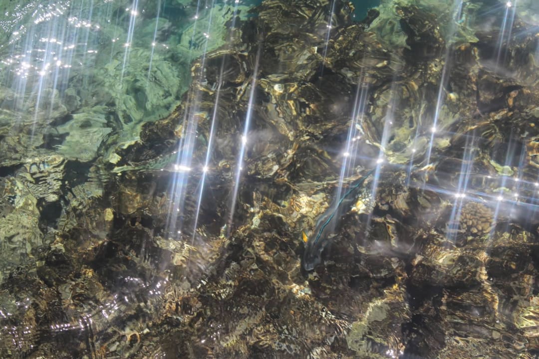 Rafa Senza Grand Santana Hotel