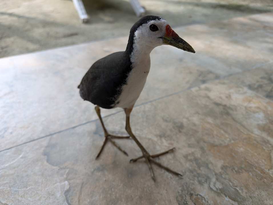 Sonstiges Summer Island Maldives