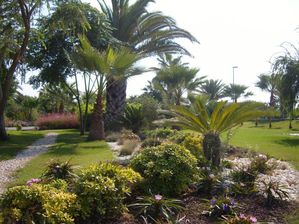 Immer super gepflegt der Garten VONRESORT Golden Coast