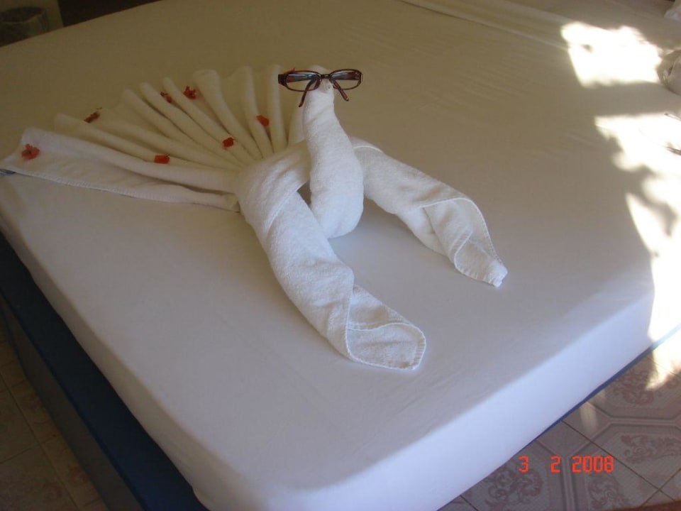 Handtuchkunstwerk Eagles Paradise Abu Soma