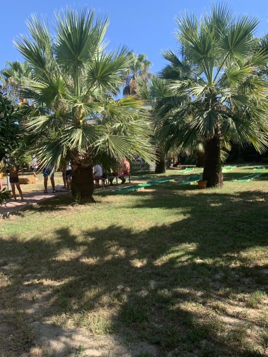 Gartenanlage Hane Family Resort