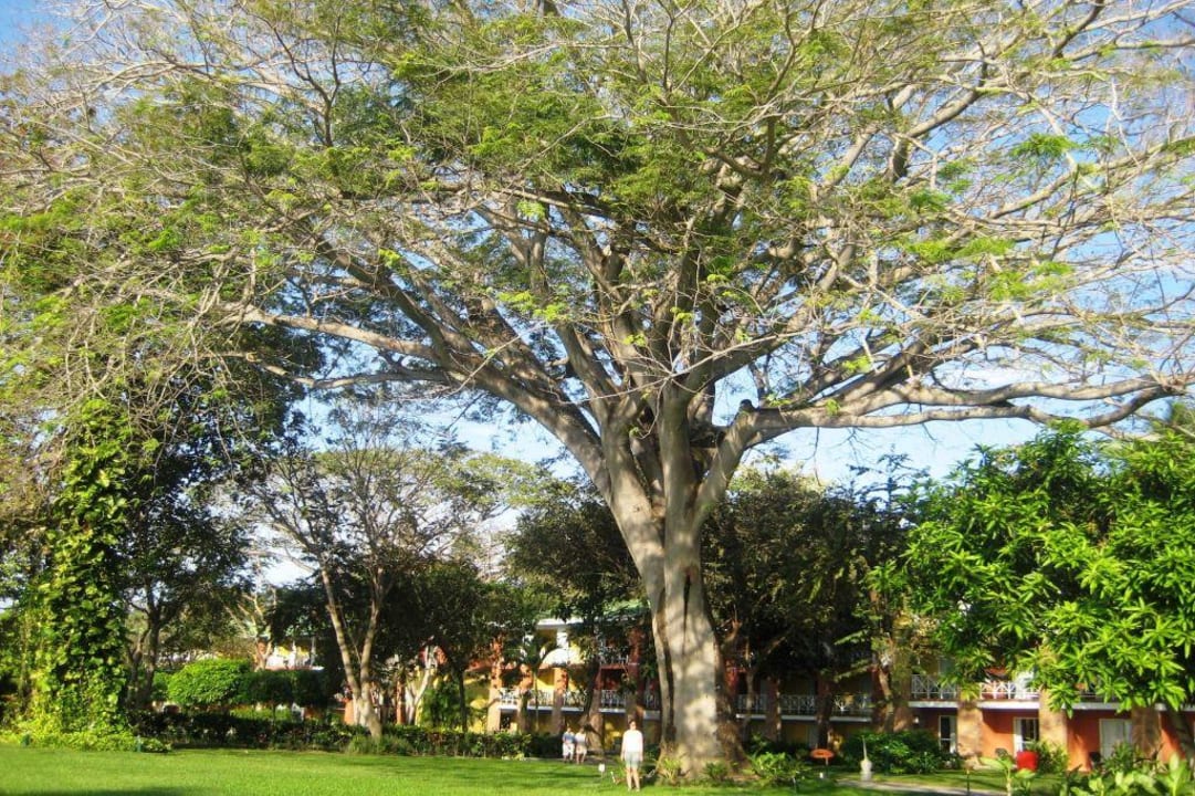 Garten im 'Royal Decameron' Grand Decameron Panama, A Trademark All Inclusive Resort