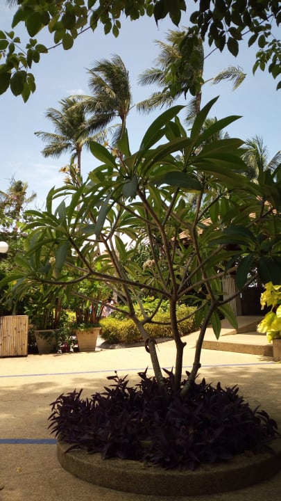 Pool The Fair House Beach Resort