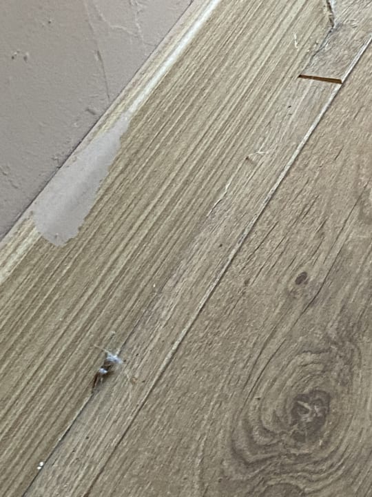 Zimmer Hotel Defne Garden