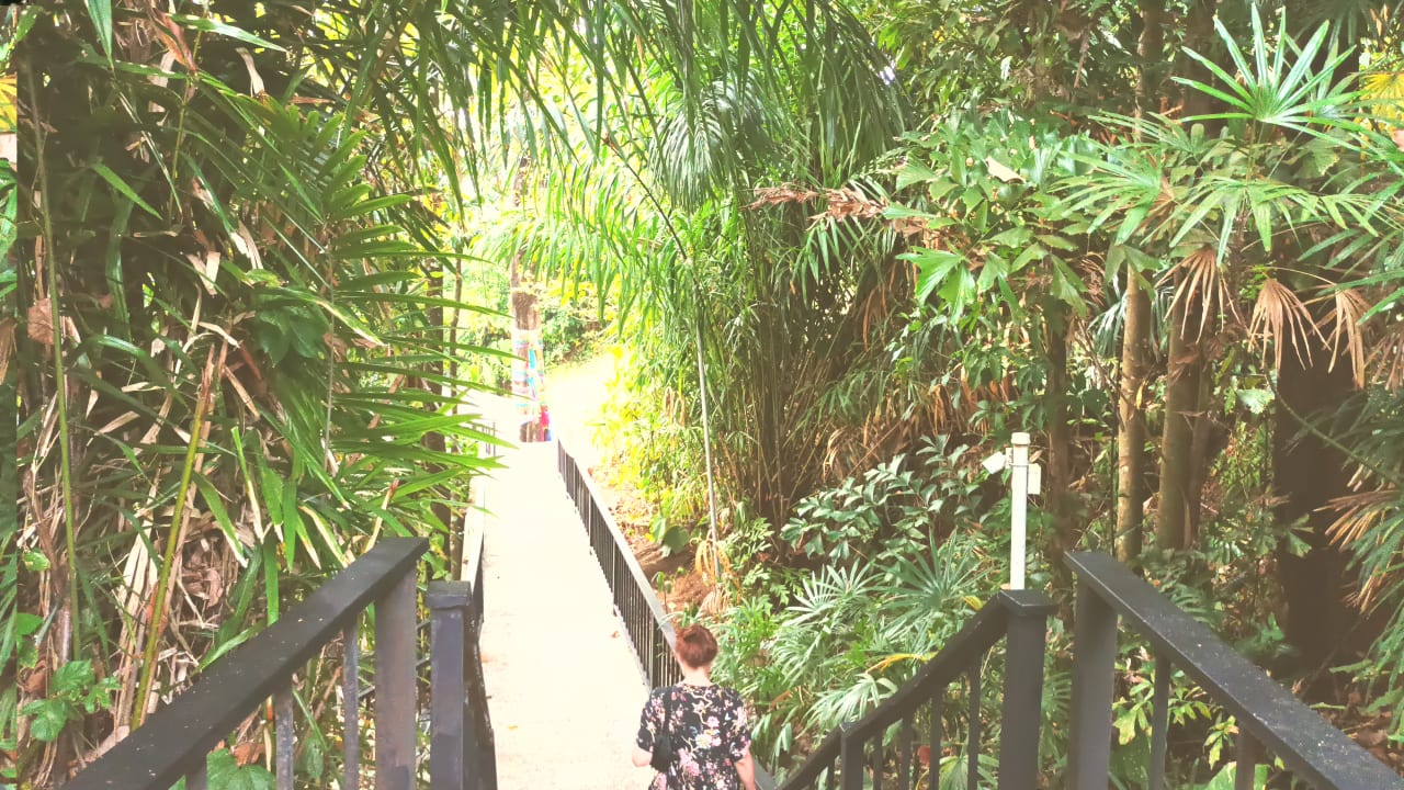 Gartenanlage Moracea by Khao Lak Resort