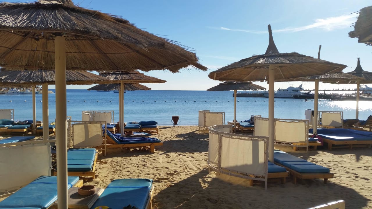 Der schöne Strand Beach Albatros Resort