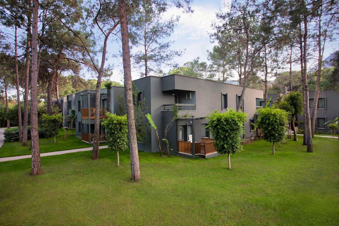 Zimmer Balmy Foresta