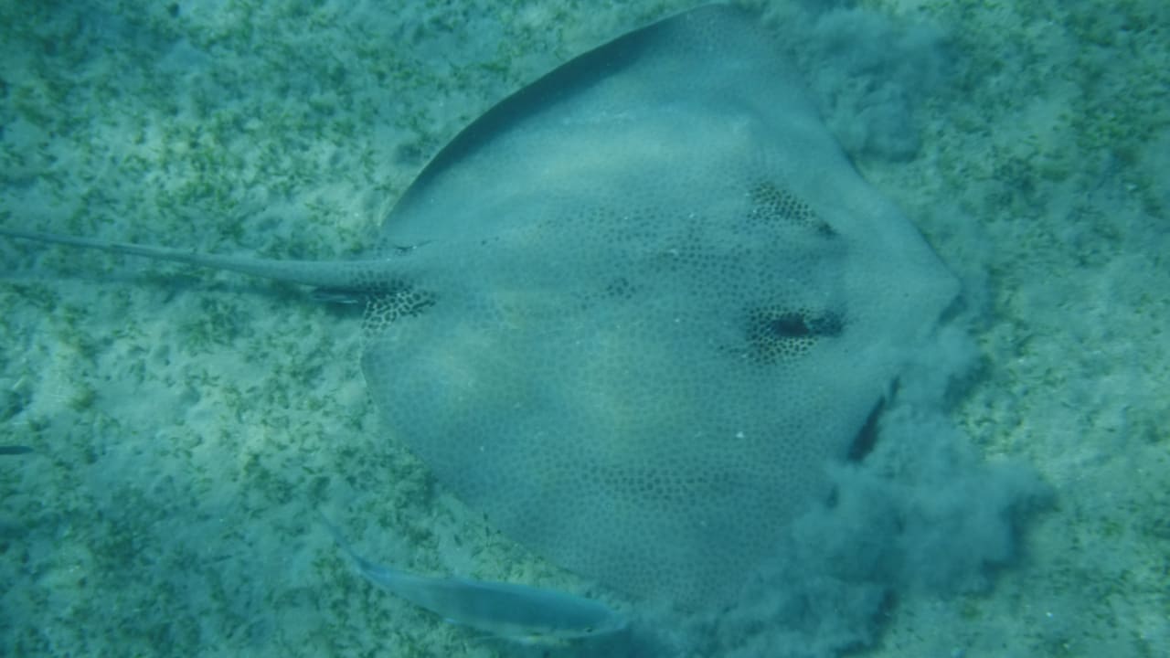 Sport & Freizeit Malikia Resort Abu Dabbab