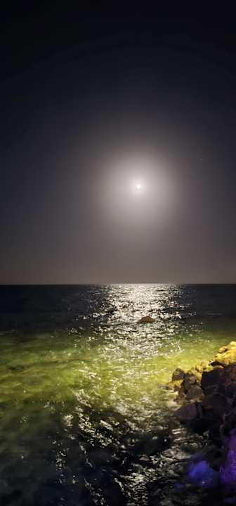 Strand Pickalbatros Citadel Resort