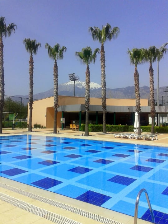 Территория Viking Park