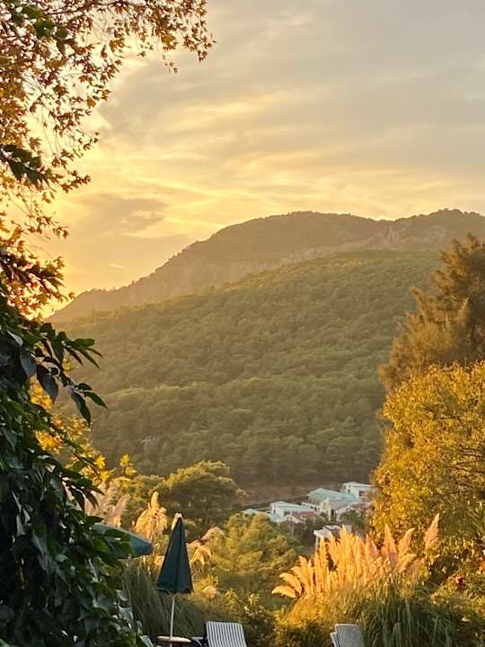 Ausblick Montana Pine Resort