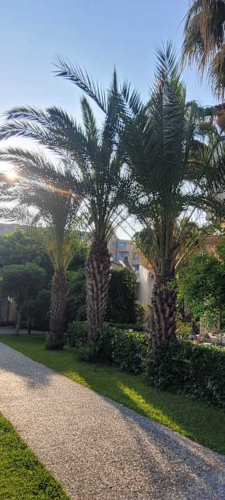 Gartenanlage Bella Resort & Spa