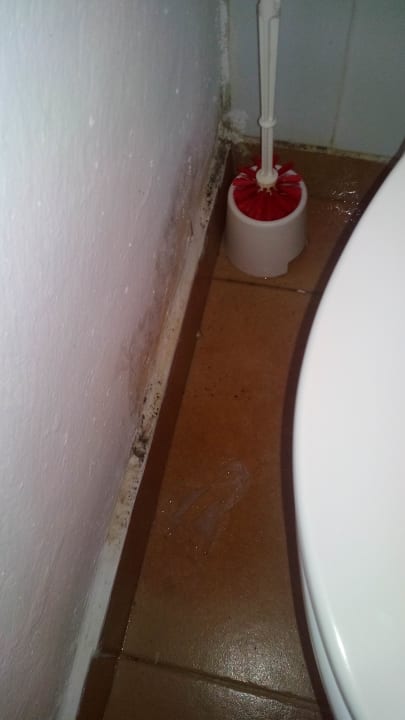 Zimmer Hotel Cala D'Or Park