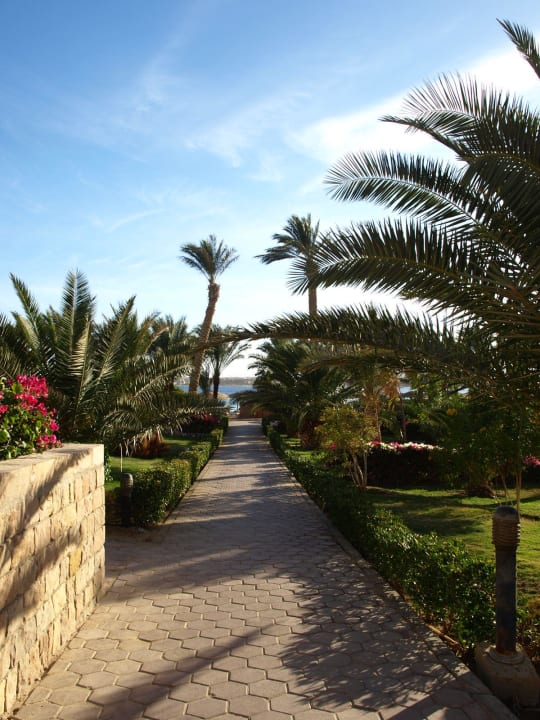Weg zum Strand Fort Arabesque Resort, Spa & Villas