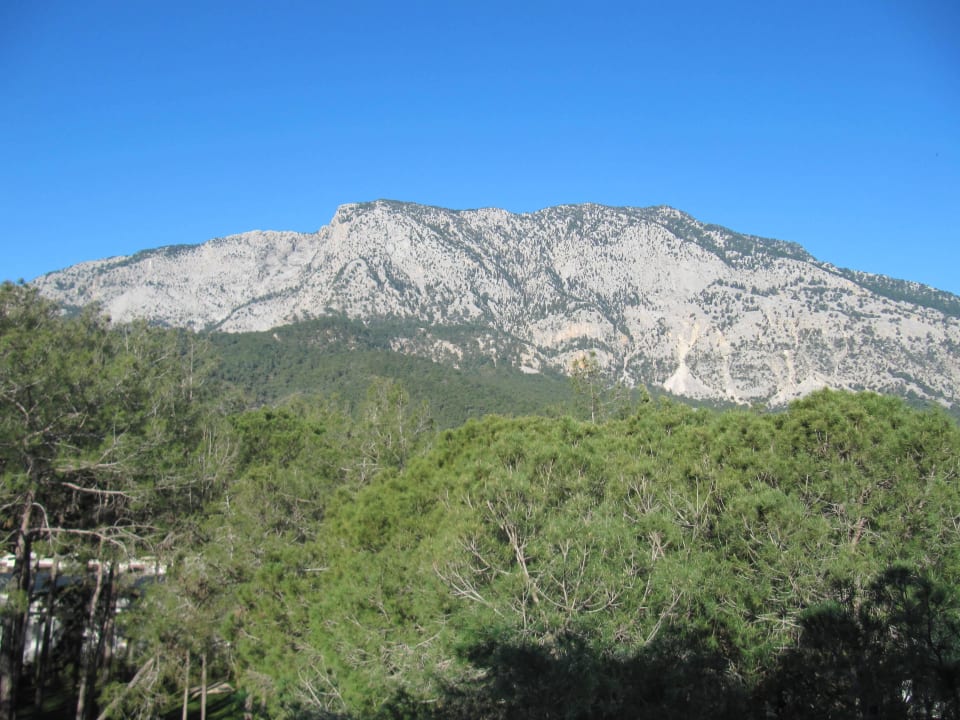 1 Nirvana Mediterranean Excellence