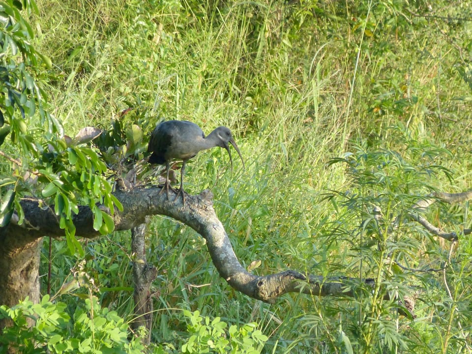 Ibis Restcamp Lower Sabie