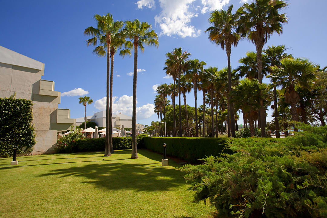 Gartenanlage Hipotels Mediterraneo Club