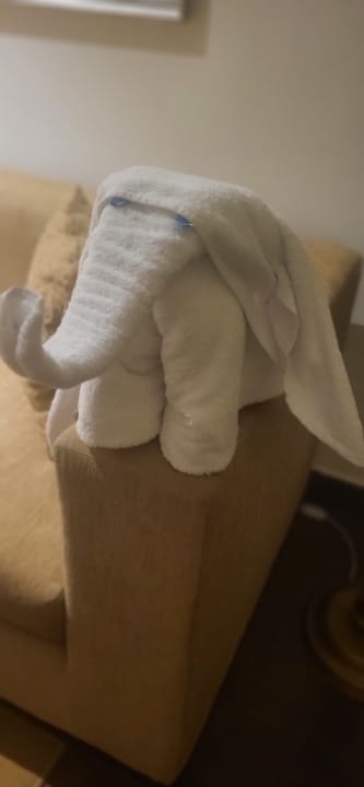 Zimmer Steigenberger Makadi Hotel - Adults only