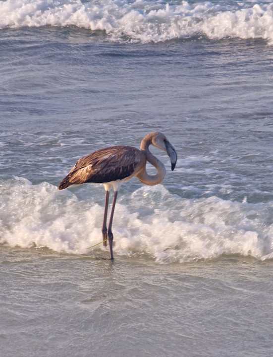 Strand Calimera Yati Beach