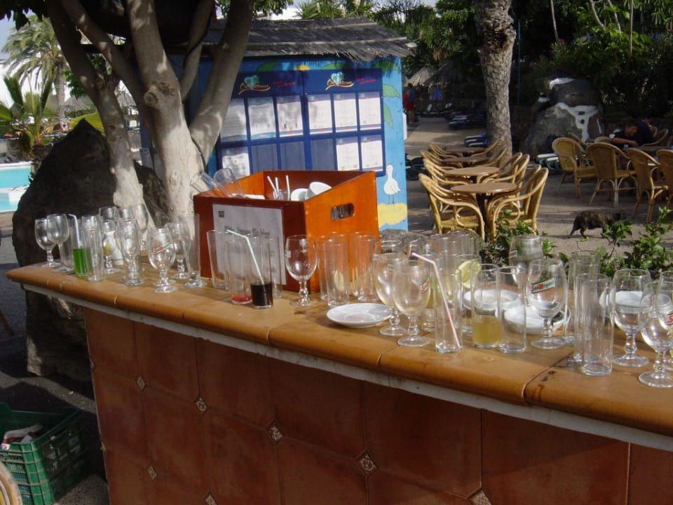 Gartenanlage allsun App.-Hotel Albatros