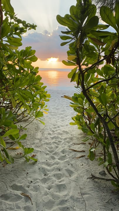 Strand Summer Island Maldives
