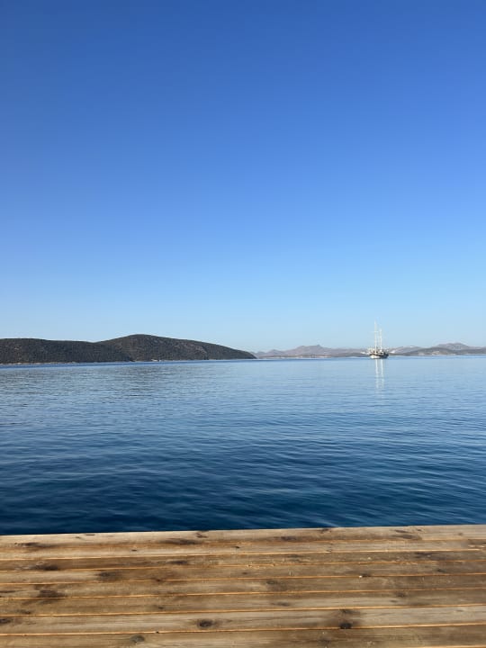 Ausblick TUI MAGIC LIFE Bodrum - Adult Only (16+)