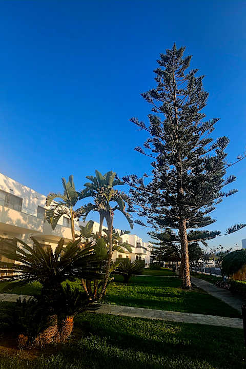 Gartenanlage Hotel Geraniotis Beach