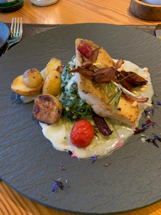 Gastro Pfalzblick Wald Spa Resort