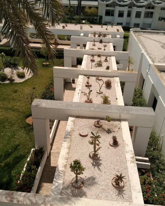 Gartenanlage Allegro Agadir