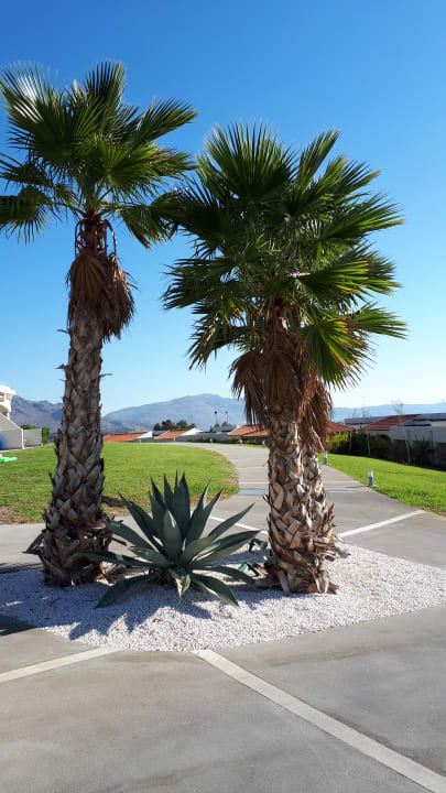 Gartenanlage Rodos Princess Beach Hotel & Spa