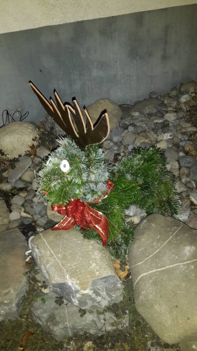 Dekoration Hotel-Gasthof Zur Kapelle