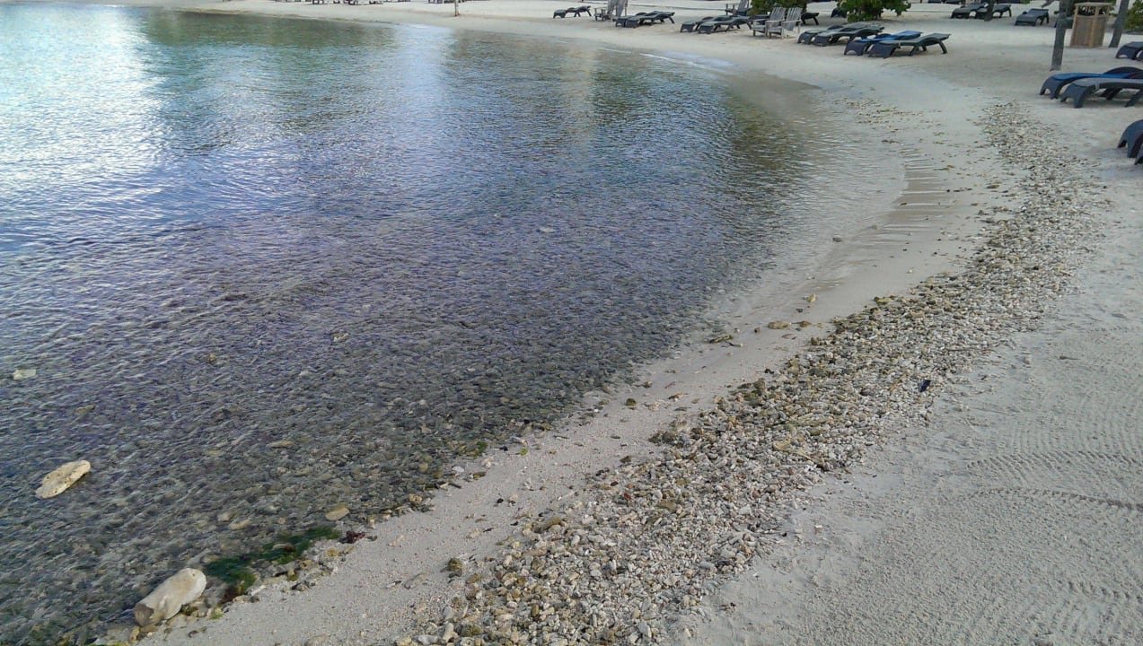 Wasserzugang LionsDive Beach Resort