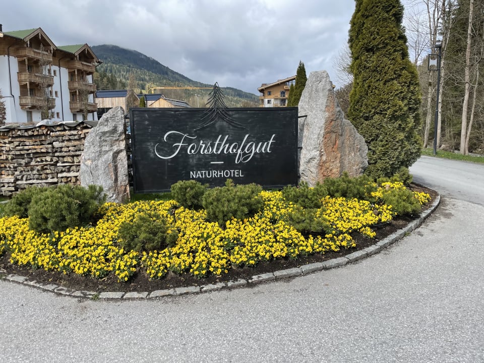 Sonstiges Naturhotel Forsthofgut