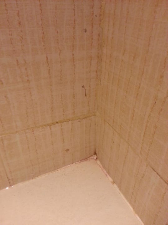 Dusche mit Schimmel... lecker La Flora Khao Lak