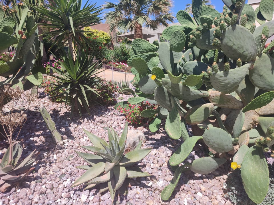 Gartenanlage Anissa Beach & Village