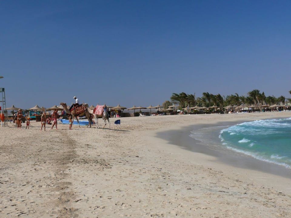 Plaża hotelu solymar abu dabbab Malikia Resort Abu Dabbab