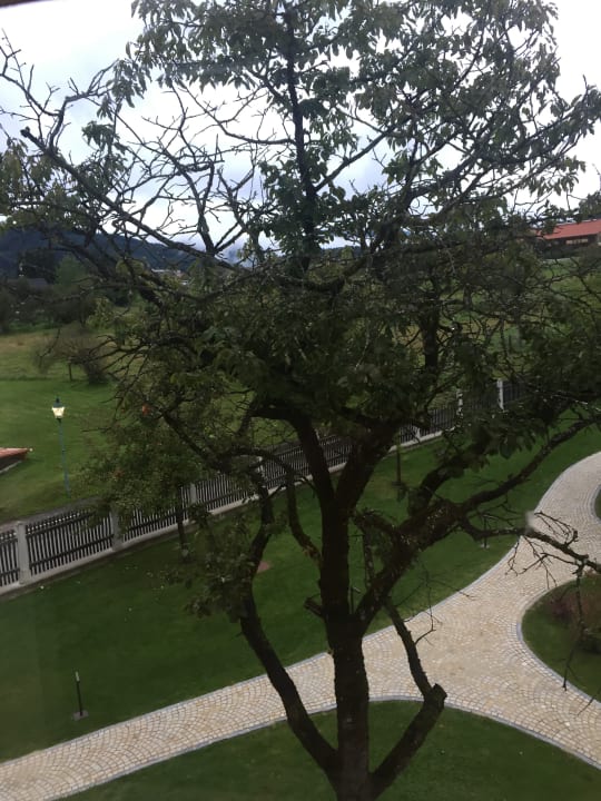 Ausblick Hotel Hofwirt