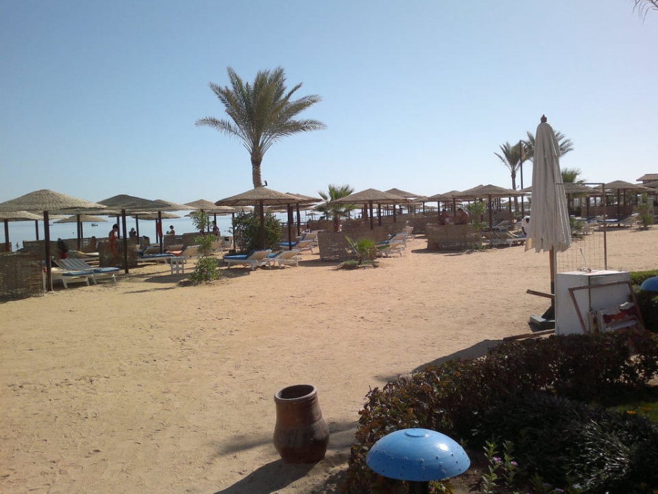 Strand Sea Star Beau Rivage