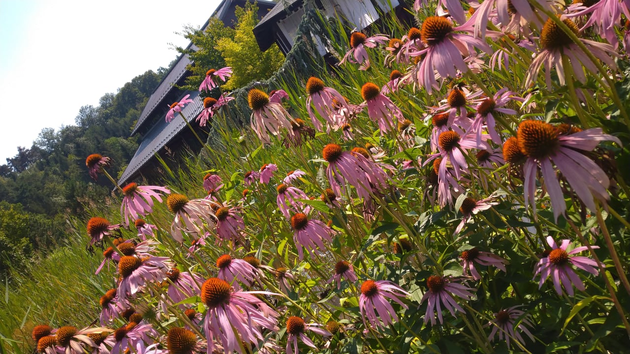 Außenansicht Linsberg Asia Hotel & Spa