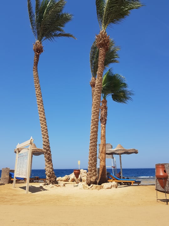 Strand Pickalbatros Citadel Resort