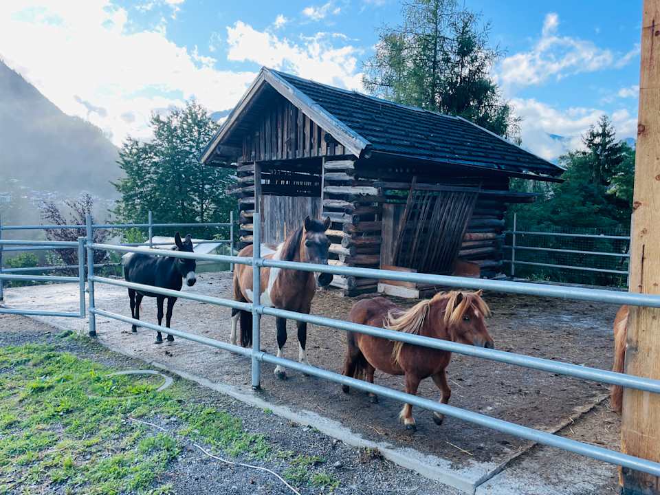 Sport & Freizeit Kinderbauernhof Ierzerhof
