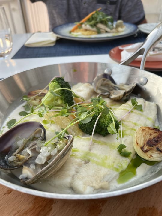 Gastro Acanthus Cennet Barut Collection