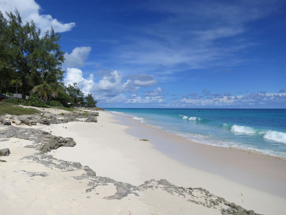 The Beach at the Inchcape Seaside Villas Inchcape Seaside Villas