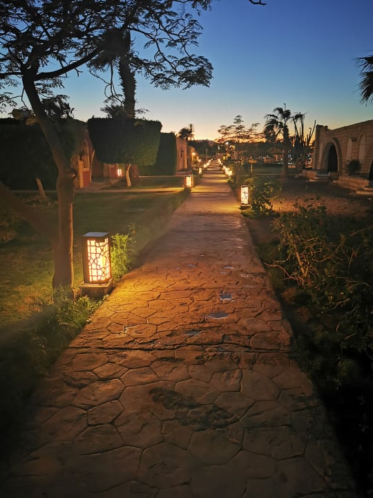 Gartenanlage Aladdin Beach Resort