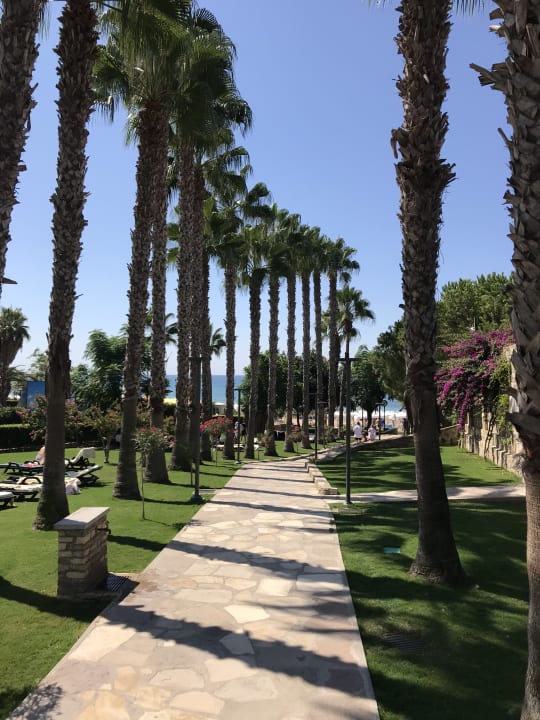 Ausblick Arum Barut Collection